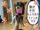 BlogPaint