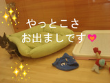 BlogPaint
