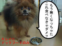 BlogPaint