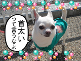 BlogPaint