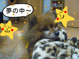BlogPaint