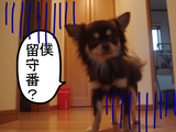 BlogPaint