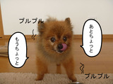 BlogPaint