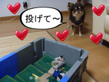 BlogPaint