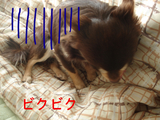 BlogPaint