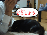 BlogPaint