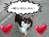 BlogPaint