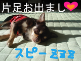 BlogPaint