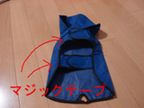 BlogPaint