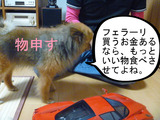BlogPaint