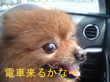 BlogPaint