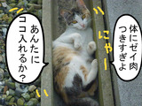 BlogPaint