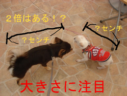 BlogPaint