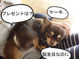 BlogPaint