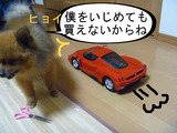 BlogPaint