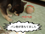 BlogPaint