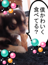 BlogPaint