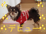 BlogPaint
