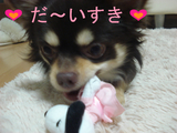 BlogPaint
