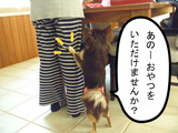 BlogPaint
