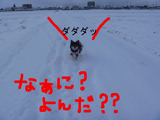 BlogPaint
