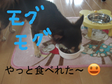 BlogPaint