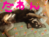 BlogPaint