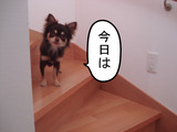BlogPaint