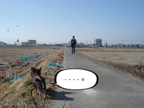 BlogPaint