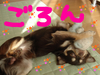 BlogPaint