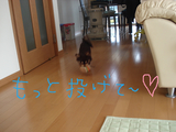 BlogPaint