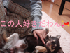 BlogPaint
