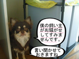 BlogPaint