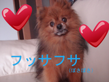BlogPaint