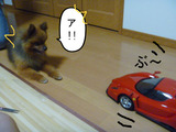 BlogPaint