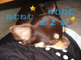 BlogPaint