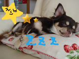 BlogPaint