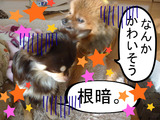 BlogPaint