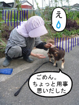 BlogPaint