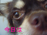 BlogPaint