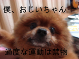 BlogPaint