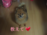 BlogPaint