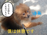 BlogPaint