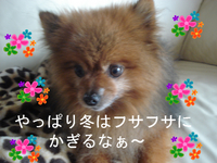 BlogPaint
