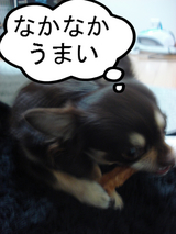 BlogPaint