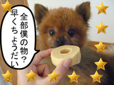 BlogPaint