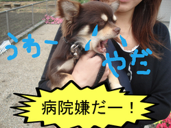 BlogPaint