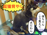 BlogPaint