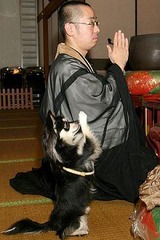 08012301_Konan_01