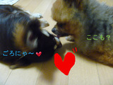 BlogPaint
